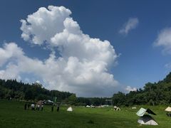 -武陵山森林公园