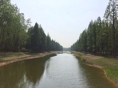 -黄海国家森林公园