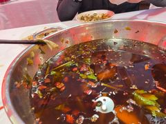 -川道拐耗儿鱼(置信路店)