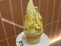 -野人先生现做冰淇淋(贵阳万象汇店)