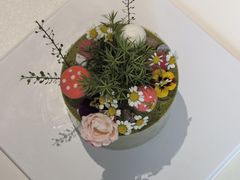 -5Cake五度无蔗糖低脂蛋糕(陶然亭店)