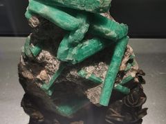 -中国地质博物馆