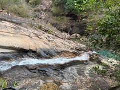 -广州白江湖森林公园