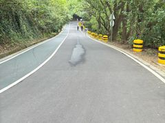 -惠山国家森林公园