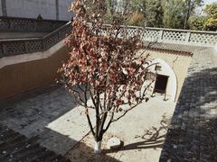 -习仲勋故居