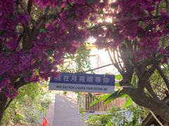 -月亮眼花园餐厅书吧酒吧