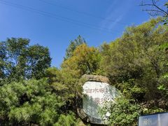 -白水寺森林公园