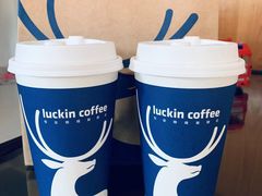 -luckincoffee瑞幸咖啡(东方都会大厦店)
