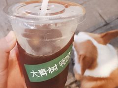 -大青树咖啡(大理古城店)