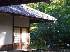 -名古屋城