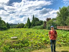 -贵阳市花溪国家城市湿地公园