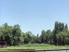 -西安浐灞国家湿地公园