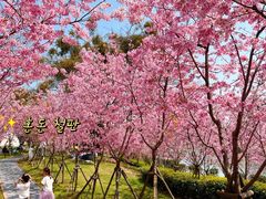 -福建鲤鱼洲酒店