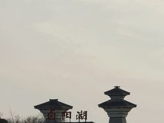 -卤阳湖国家湿地公园