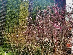 -上海市第一师范学校附属小学