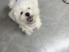 -半岛宠物医院24小时(白果林店)