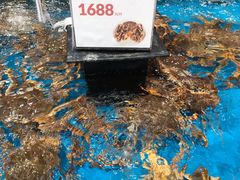 -盒马鲜生(皇庭广场店)