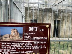-水绘园