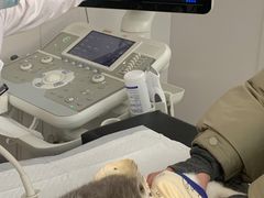 -邢大夫动物医院