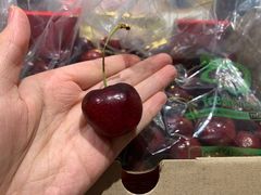-菜园坝水果市场