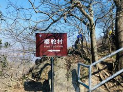 -紫金山山顶公园
