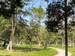 -大蜀山国家森林公园