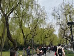 -西湖游船