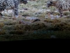 -幸福蓝海国际影城(宜昌水悦城店)