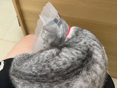 -宠福鑫康馨动物医院·骨科·眼科