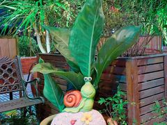 -more than meow吴止猫主题餐厅(承德 中船汇店)