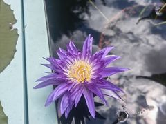 -钱王祠