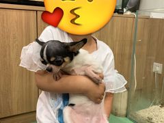 -藦茜花园宠物主题亲子互动体验馆(国顺东路店)