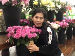 -荷兰花海