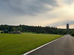 -宜兴龙背山森林公园