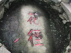 -庐山风景区花径公园