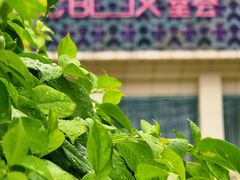 -堂会·KTV·自助餐·团建聚会(天河店)