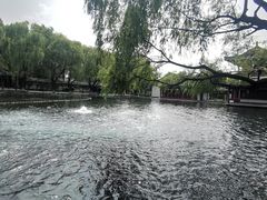 -百脉泉景区
