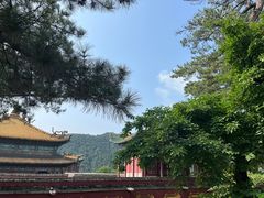 -普陀宗乘之庙