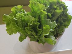 -古乐牛香·鲜牛肉牛杂火锅(吴江三里桥运东商业广场店)