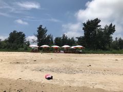 -贝壳沙滩