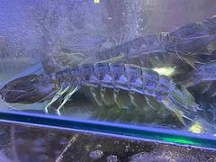 -凯华海鲜火锅·传承三十六年
