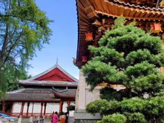 -上海东林寺(金山区)