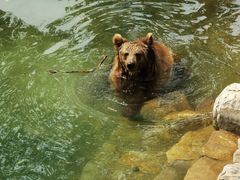 -石家庄市动物园