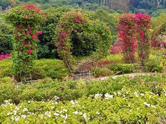 -东莞植物园