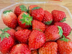 -东方鼎信农副产品交易中心