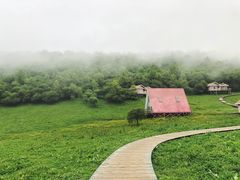 -关山草原