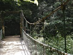 -西岭雪山大飞水景区