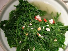 上汤桑叶苗-大榕树下顺德菜(融创茂店)