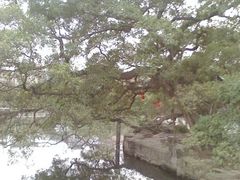 -小洲村