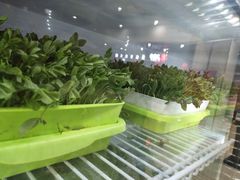 -东椰·海南椰子鸡火锅(朝阳门店)